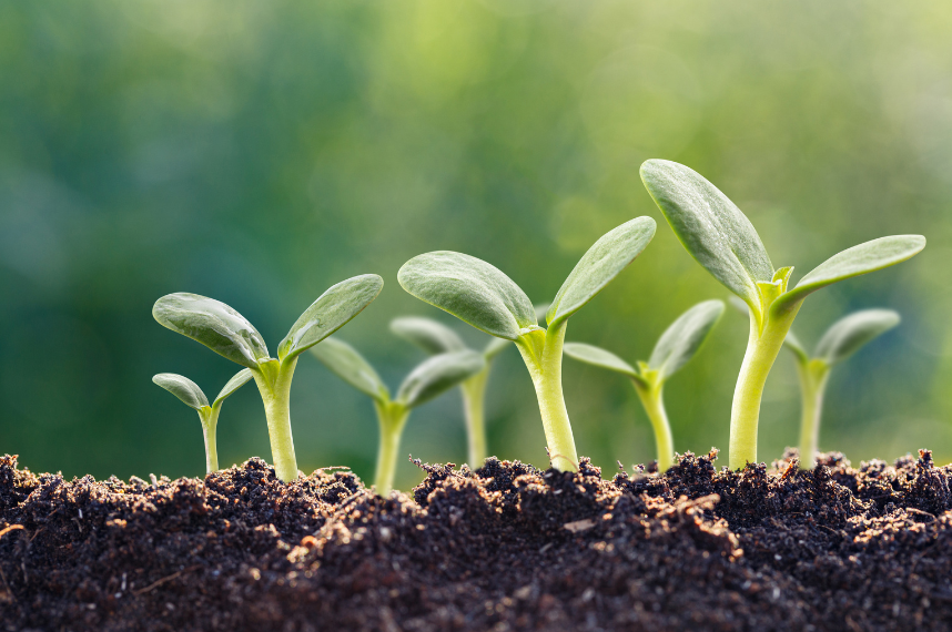 60% portfolio growth in Q3 this year